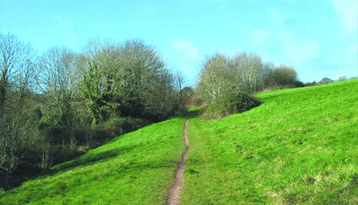 Mincinglake Valley Park