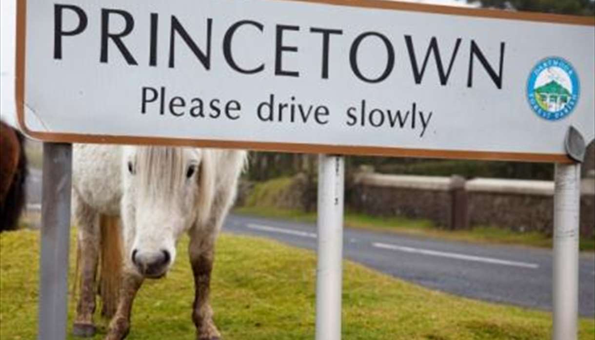 Princetown