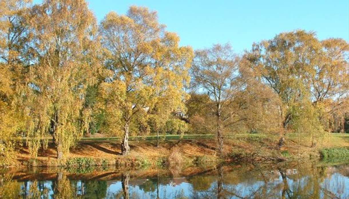 Autumn colours on banks of River Exe at Belle Isle