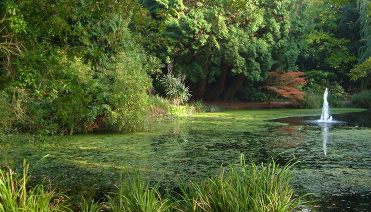 Exeter University Gardens