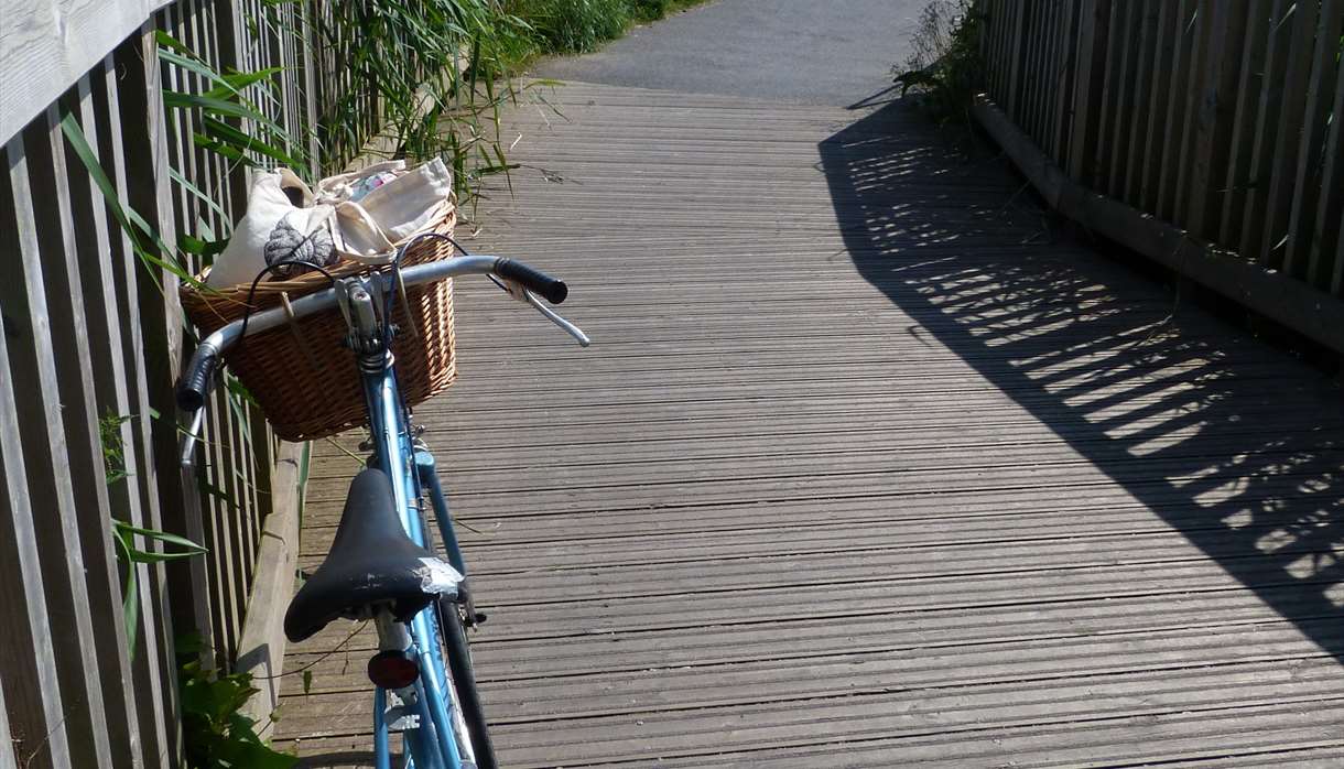 Exe Estuary Trail, vintage bike (c) mathilde le floch