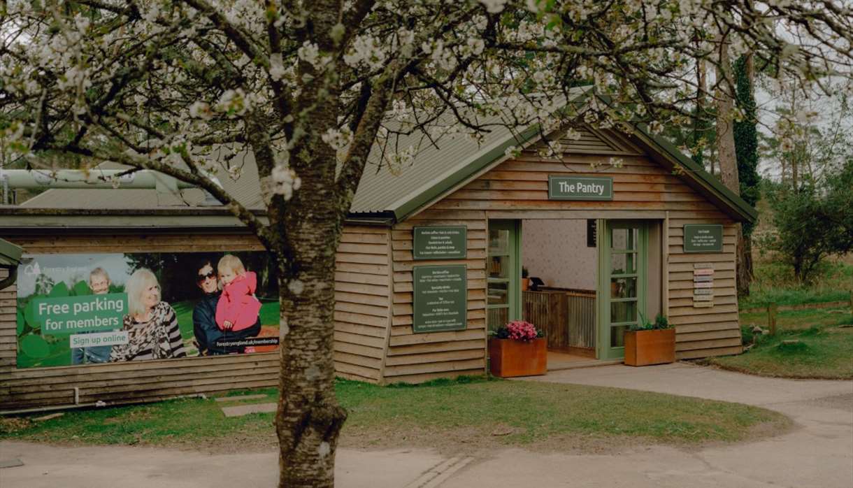 The Pantry at Haldon Forest Park Cafe