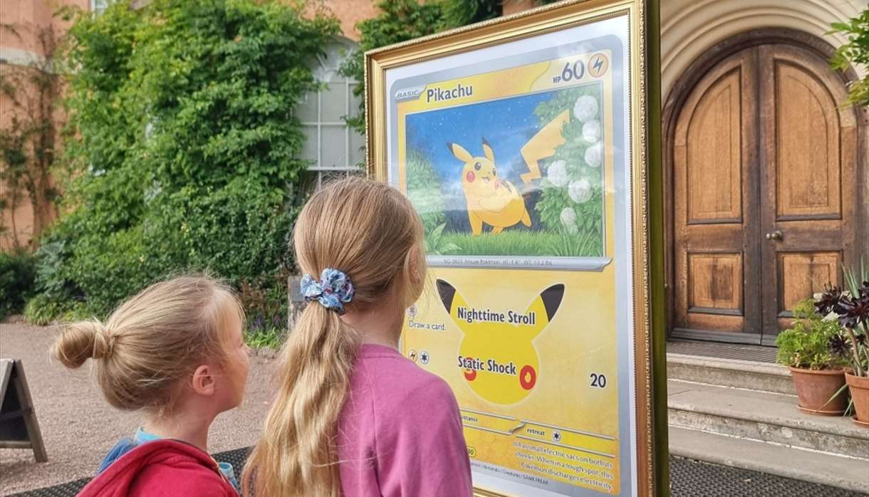 The Pikachu Art Adventure