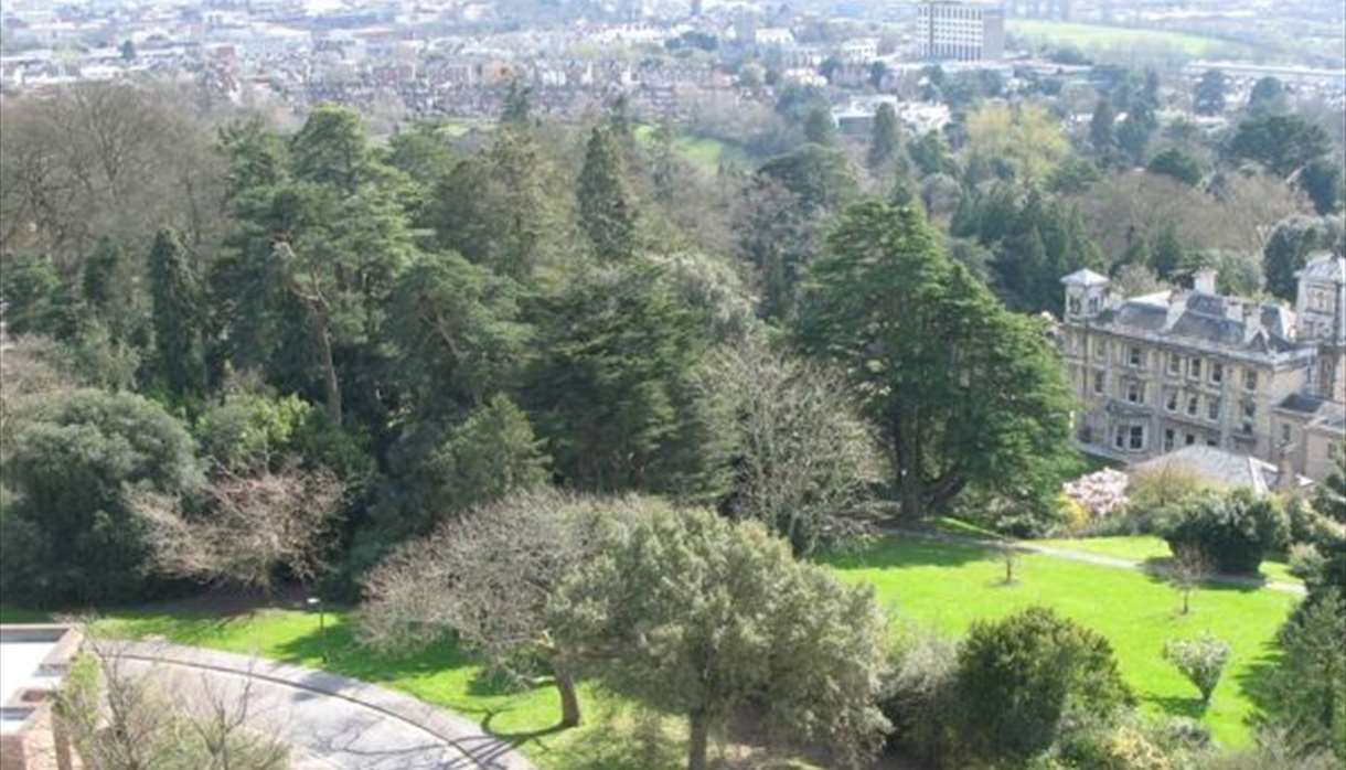 University of Exeter: Garden