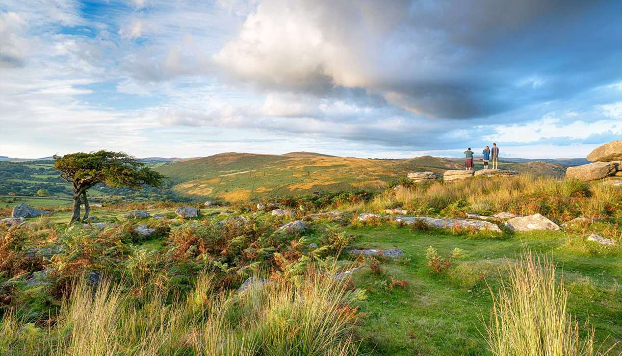 Experience Dartmoor National Park, England