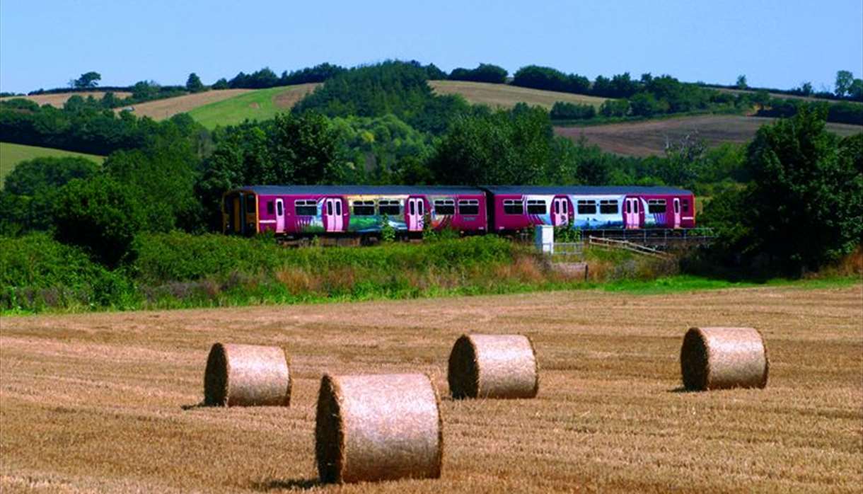 The Tarka Line - field