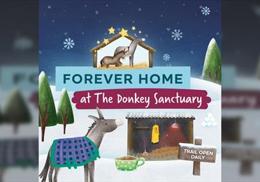 A Forever Home Winter Trail