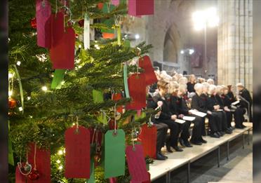 Carols in the Cathedral
