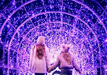 RHS Glow Illuminations