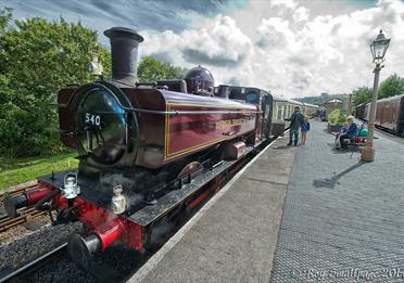 South Devon Railway train