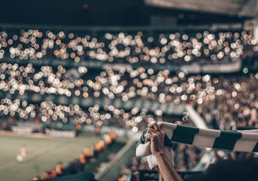 Fan holding green and white scarf at football game