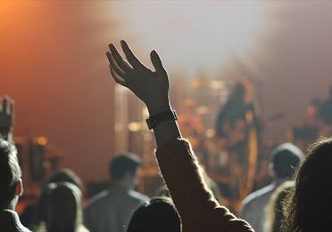 Audience at a music concert