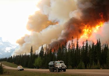 Understanding Wildfires