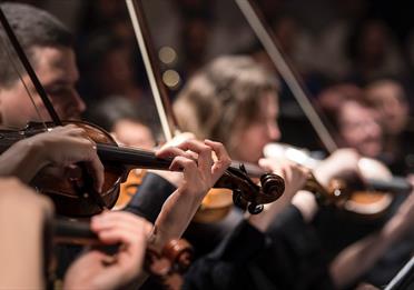 Violinists performing