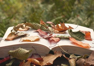 Nature and the Wild Storytelling
