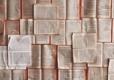 Many open books laid out together