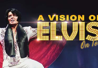 A Vision of Elvis