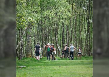 Forage and Cook - Devon and Cornwall