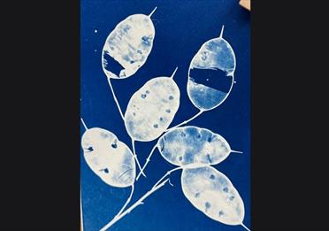 Cyanotype workshop - make a cyanotype Christmas card