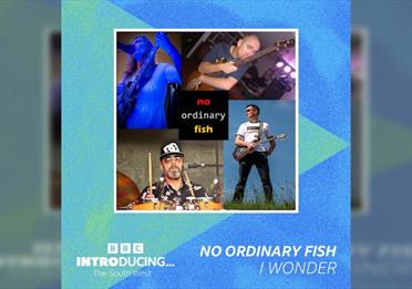 Exeter Record & CD Fair: No Ordinary Fish