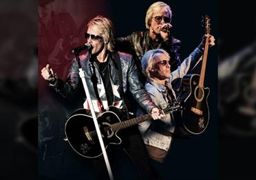 The Bon Jovi Experience