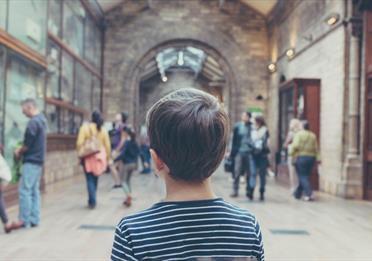 Child looking around a museum