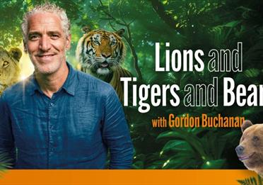 Gordon Buchanan: Lions And Tigers And Bears