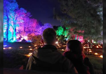 RHS Glow at RHS Rosemoor