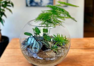 Glass Terrarium Workshop with Prosecco