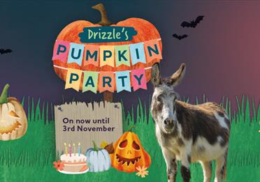 Drizzle's Pumpkin Party Halloween Trail