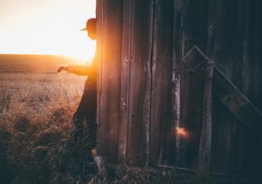 Person playing an acoustic guitar in the sunset