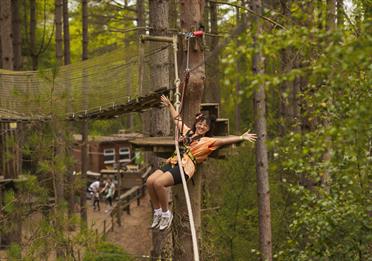 Summer fun at Go Ape Haldon