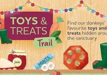 Toys and Treats - Winter Trail