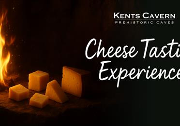 Cheese Tasting Experience