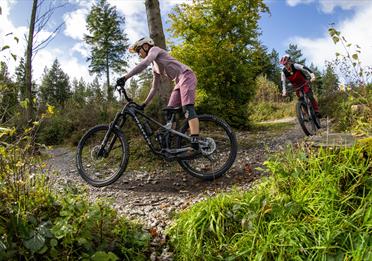 Cycling at Haldon Forest Park