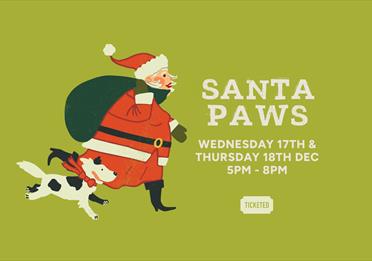 Santa Paws Grotto