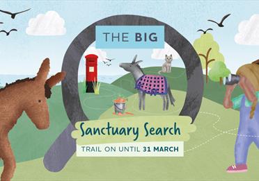 The Big Sanctuary Search Trail