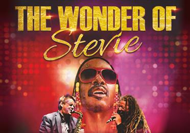 The Wonder of Stevie