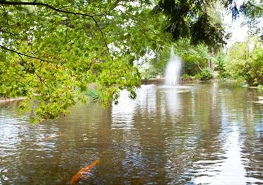 Ponds around the gardens