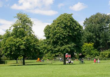 Trees in Bury Meadow