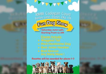 Cadogan Court Summer Fair