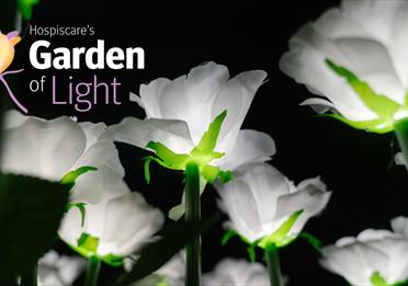 Hospiscare's Garden of Light