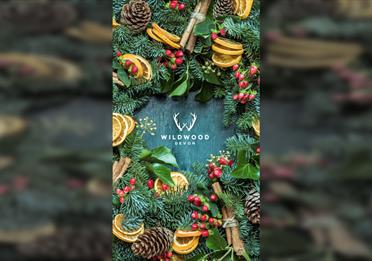 Festive Wreath Making at Wildwood Devon