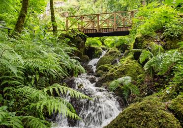 Canonteign Falls