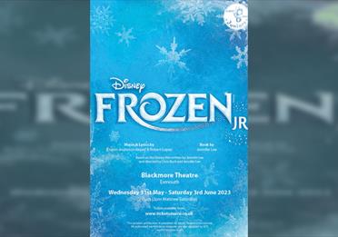 Disney Frozen JR