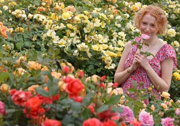 Festival of Roses
