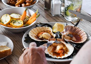 Scallops