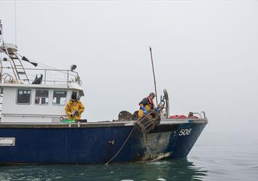 From sea to shop with fresh local seafood.