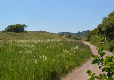 Dawlish Warren Nature Reserve pathway