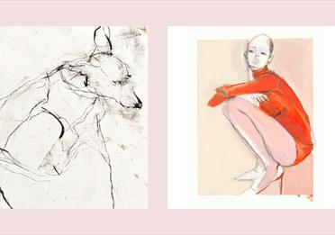 Art Week 2025: Narrative Lines: Phillipa Mills